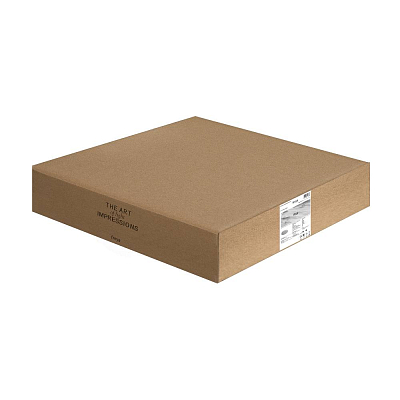 Потолочный светильник Freya FR6160CL-L40W 400_400_3182832